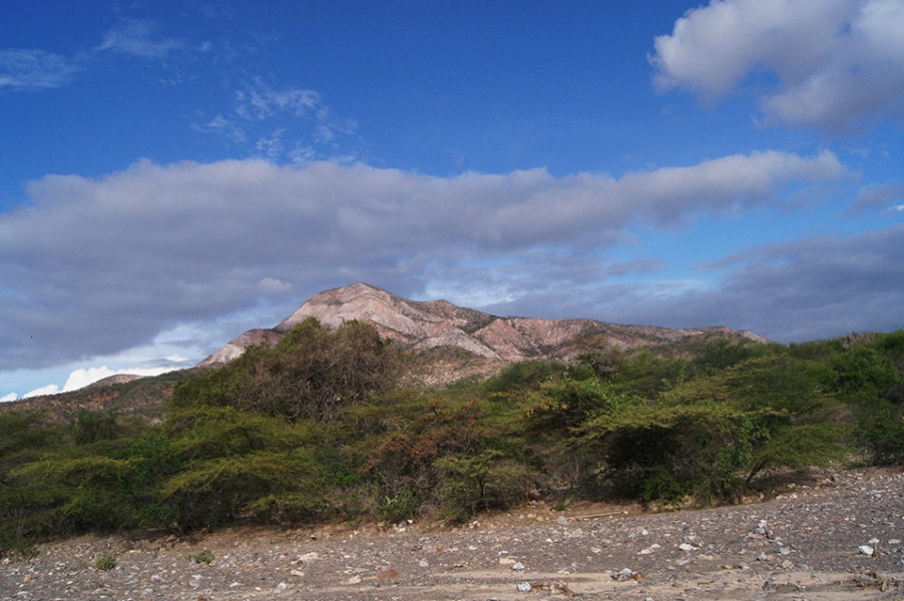 Una vista panorámica del paisaje xerofítico en Las Guitarritas